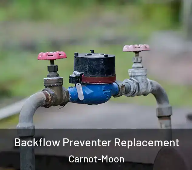  Backflow Preventer Replacement Carnot-Moon