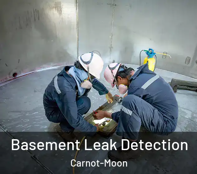  Basement Leak Detection Carnot-Moon
