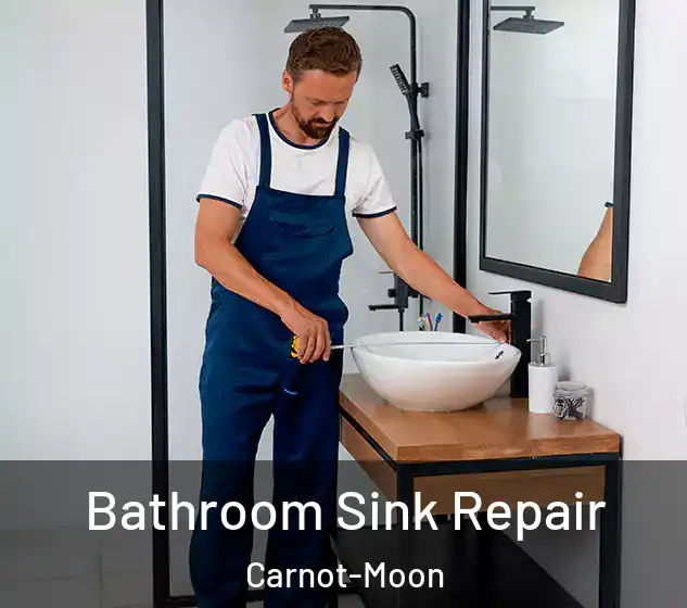  Bathroom Sink Repair Carnot-Moon