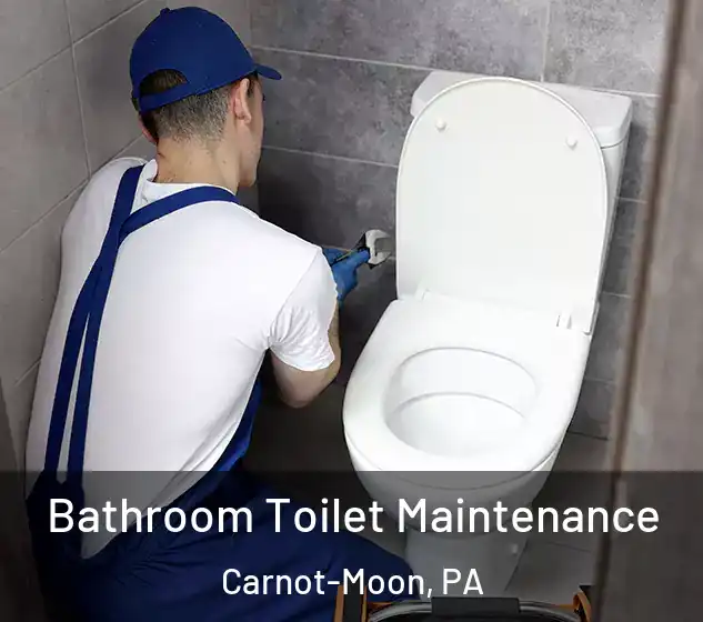  Bathroom Toilet Maintenance Carnot-Moon, PA