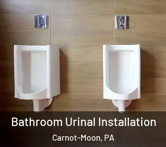  Bathroom Urinal Installation Carnot-Moon, PA