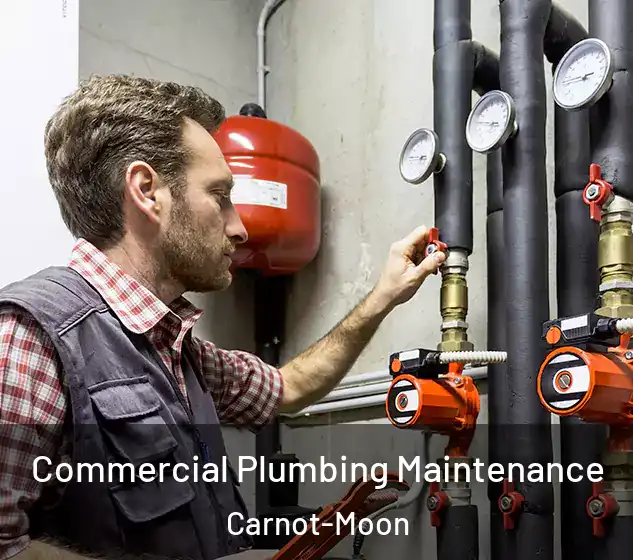  Commercial Plumbing Maintenance Carnot-Moon