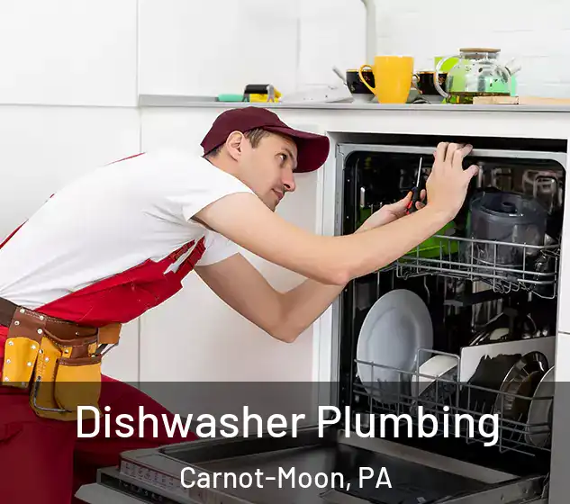  Dishwasher Plumbing Carnot-Moon, PA