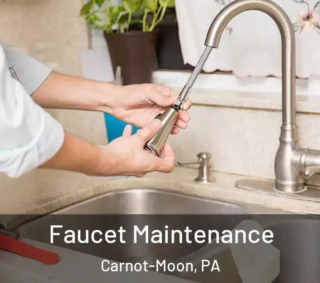  Faucet Maintenance Carnot-Moon, PA