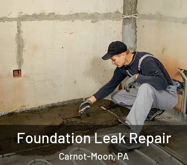  Foundation Leak Repair Carnot-Moon, PA