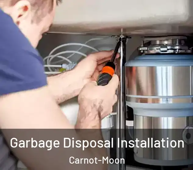  Garbage Disposal Installation Carnot-Moon
