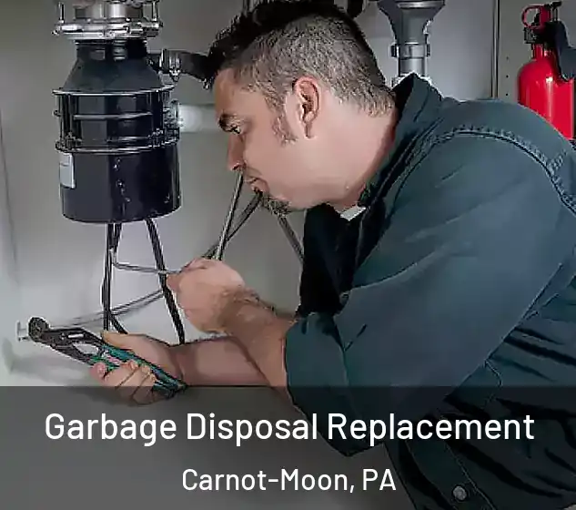  Garbage Disposal Replacement Carnot-Moon, PA