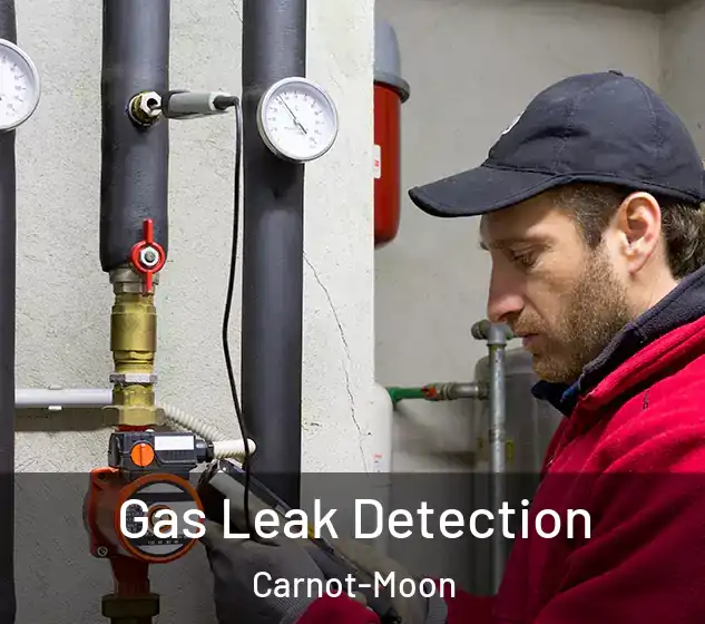  Gas Leak Detection Carnot-Moon