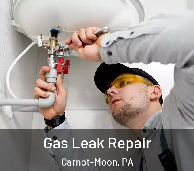  Gas Leak Repair Carnot-Moon, PA