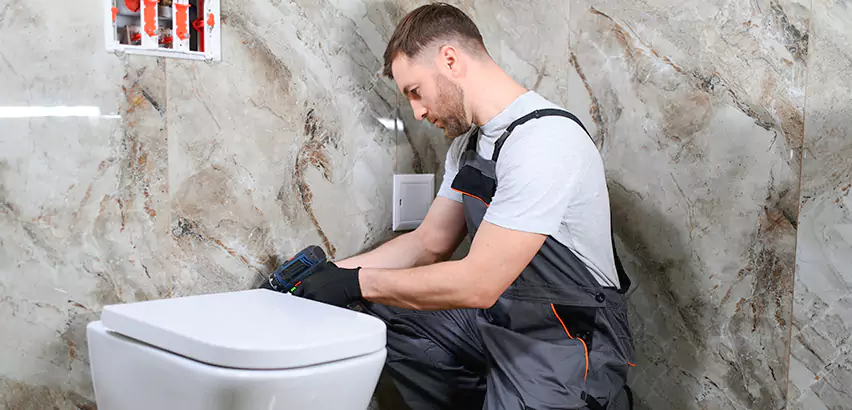 Scope of Bathroom Toilet Replacement Services in Carnot-Moon, PA