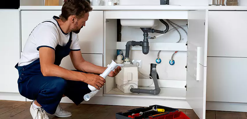 Scope of Kitchen Garbage Disposal Replacement Services in Carnot-Moon, PA