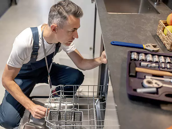 Why Carnot Moon Plumbing is the First Choice for Kitchen Dishwasher Plumbing Services in Carnot-Moon, PAx?