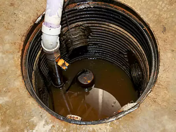 Why Carnot Moon Plumbing is the First Choice for Sump Pump Maintenance Services in Carnot-Moon, PA?
