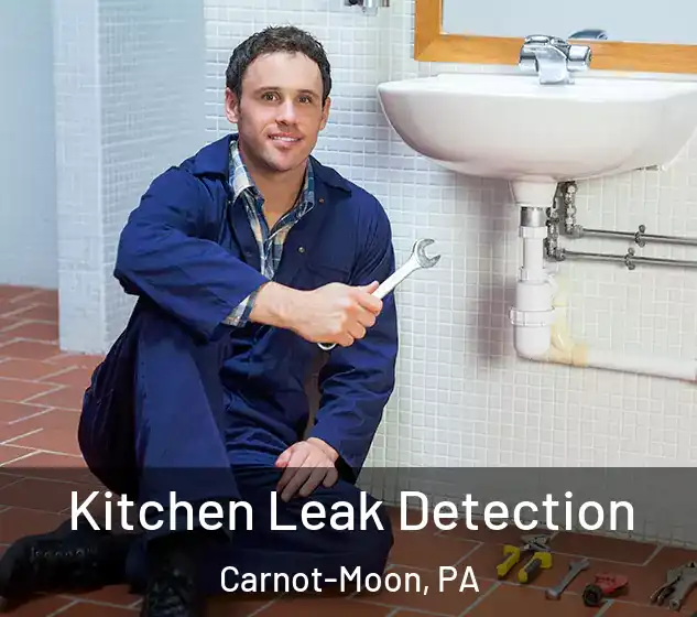  Kitchen Leak Detection Carnot-Moon, PA