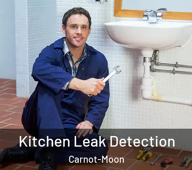  Kitchen Leak Detection Carnot-Moon