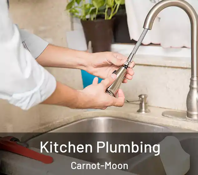 Kitchen Plumbing Carnot-Moon