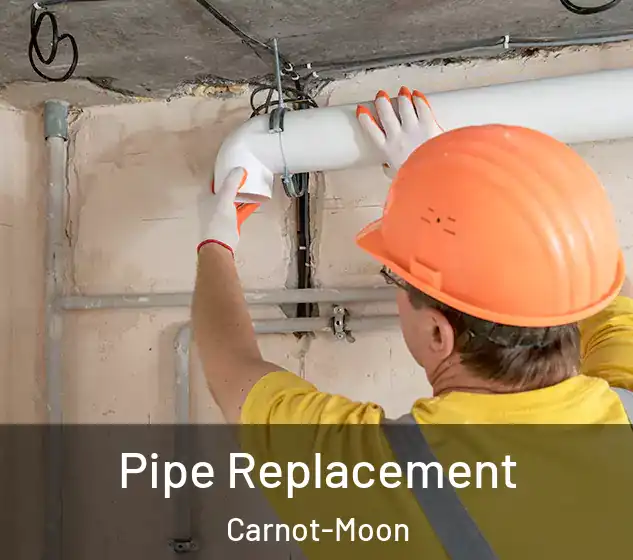  Pipe Replacement Carnot-Moon
