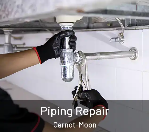  Piping Repair Carnot-Moon