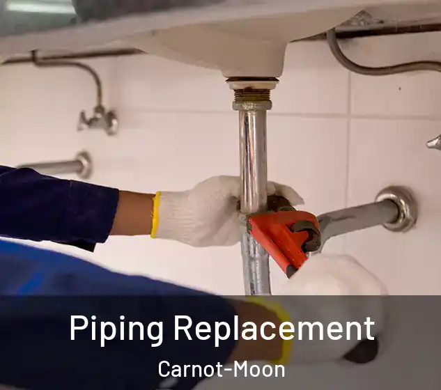  Piping Replacement Carnot-Moon