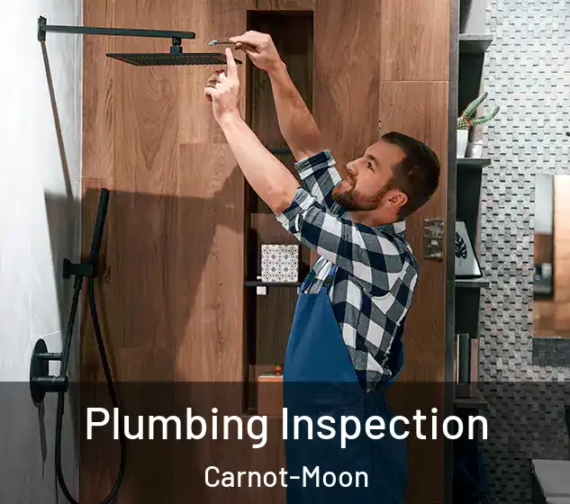  Plumbing Inspection Carnot-Moon