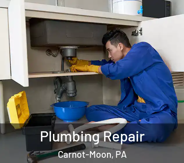  Plumbing Repair Carnot-Moon, PA