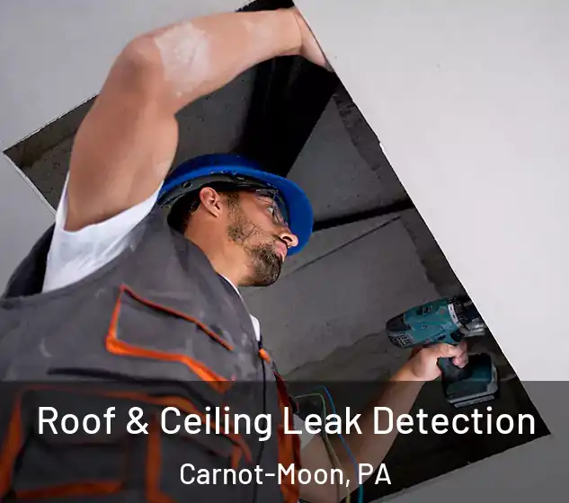  Roof & Ceiling Leak Detection Carnot-Moon, PA