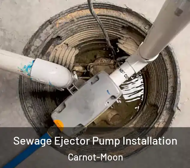  Sewage Ejector Pump Installation Carnot-Moon