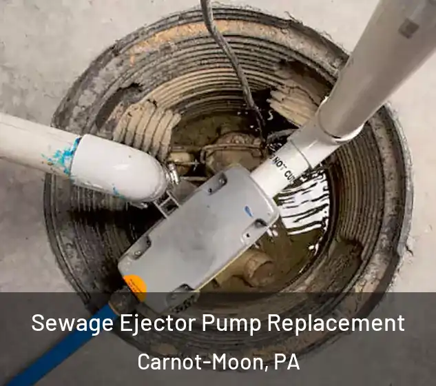  Sewage Ejector Pump Replacement Carnot-Moon, PA