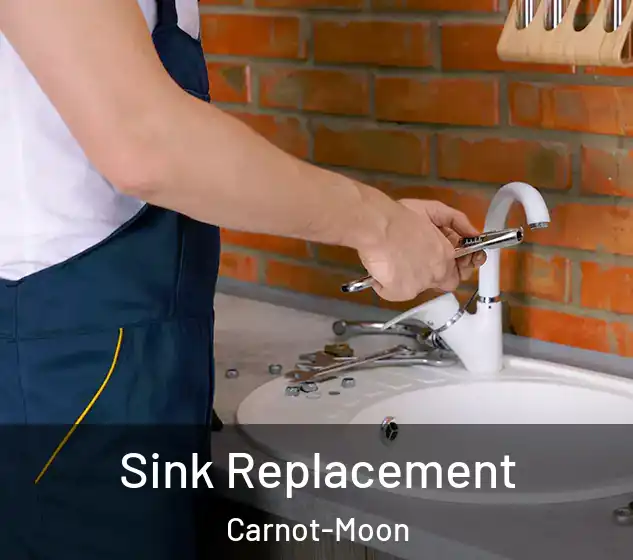  Sink Replacement Carnot-Moon