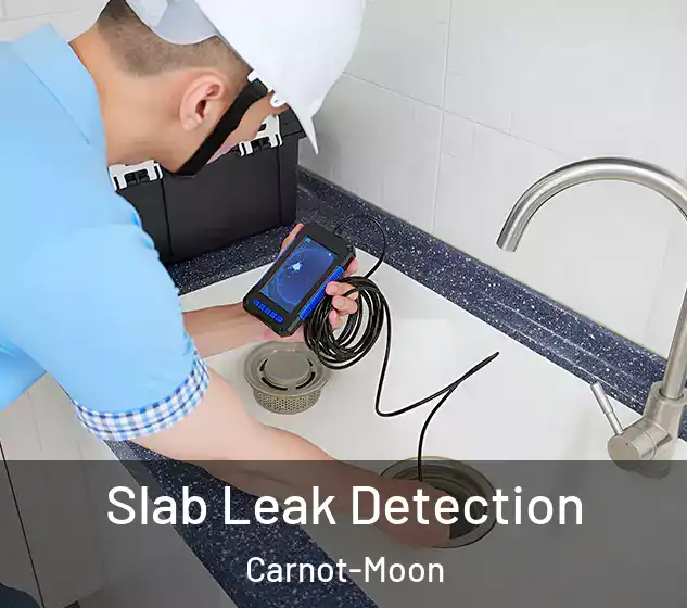  Slab Leak Detection Carnot-Moon