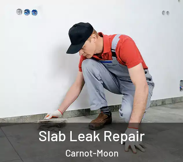  Slab Leak Repair Carnot-Moon
