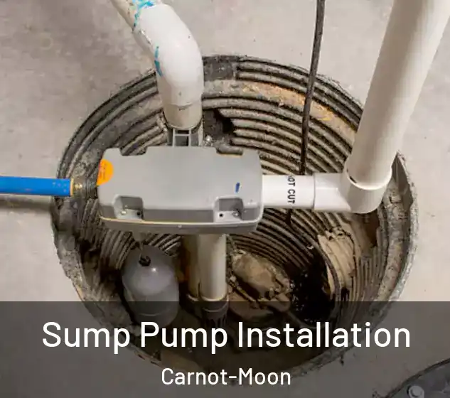  Sump Pump Installation Carnot-Moon
