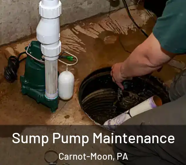  Sump Pump Maintenance Carnot-Moon, PA