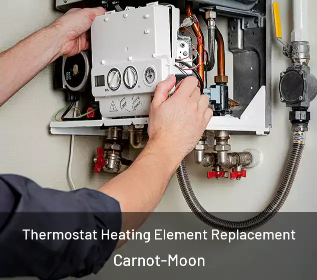  Thermostat Heating Element Replacement Carnot-Moon
