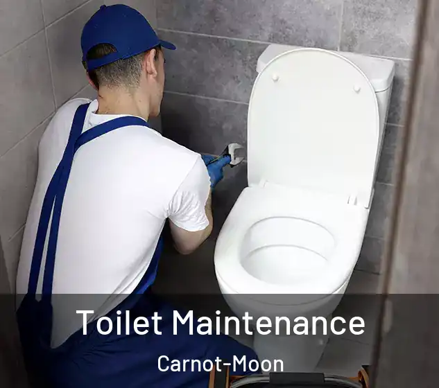 Toilet Maintenance Carnot-Moon