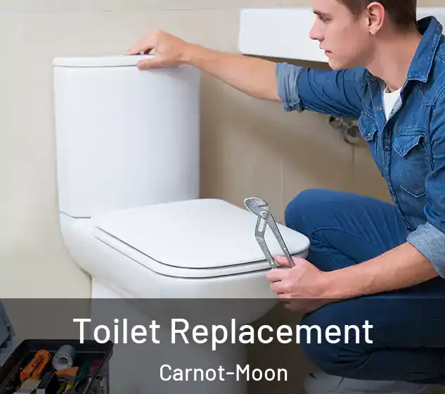  Toilet Replacement Carnot-Moon