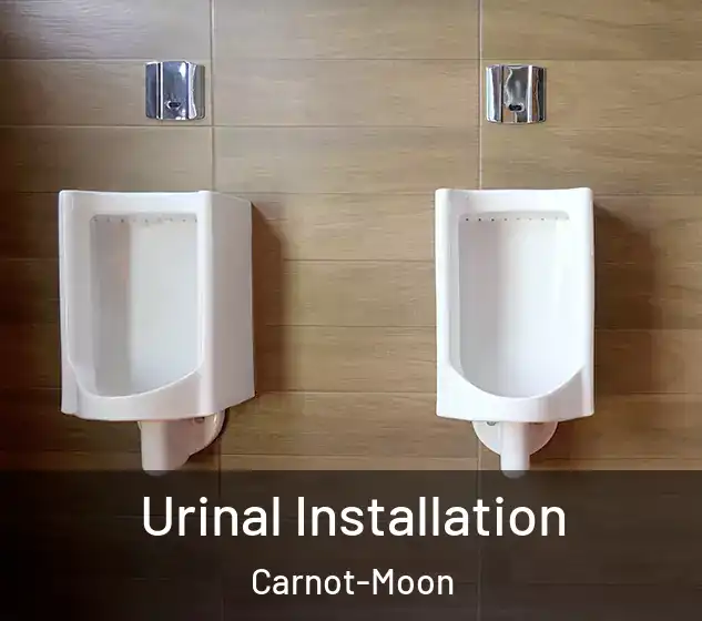  Urinal Installation Carnot-Moon