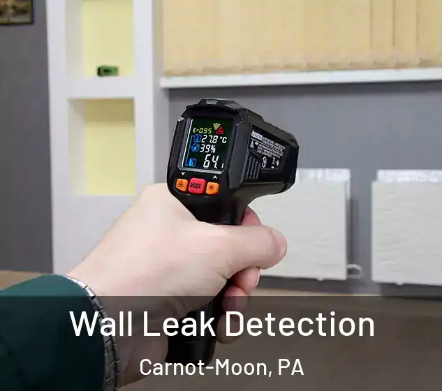  Wall Leak Detection Carnot-Moon, PA