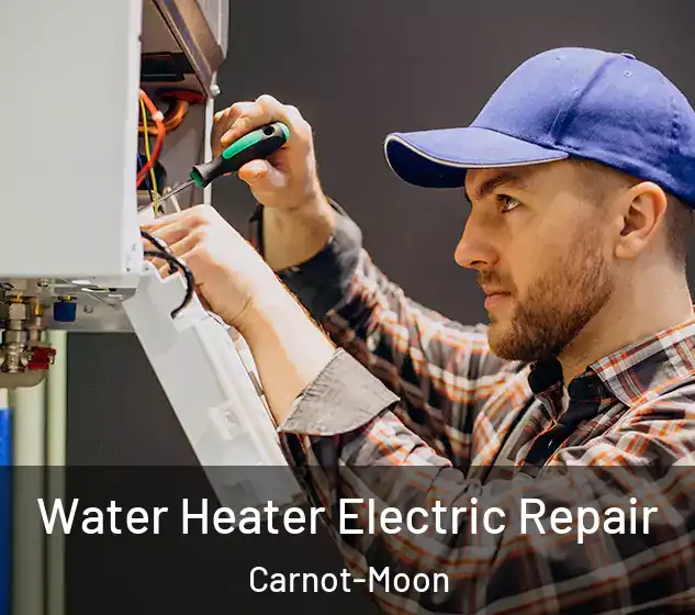  Water Heater Electric Repair Carnot-Moon