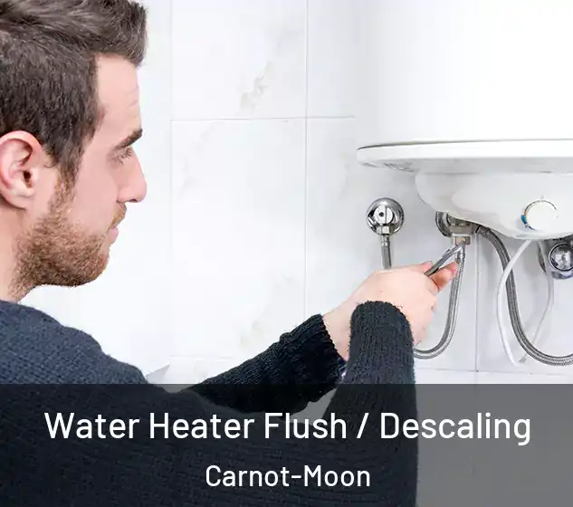  Water Heater Flush / Descaling Carnot-Moon