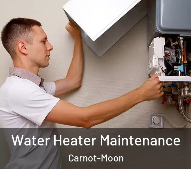  Water Heater Maintenance Carnot-Moon