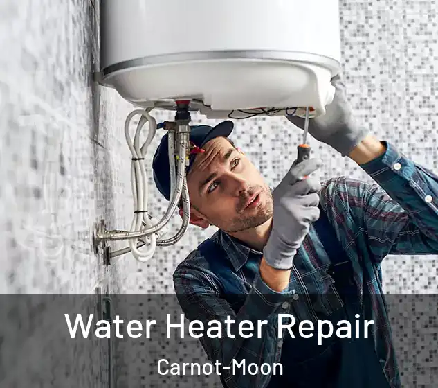  Water Heater Repair Carnot-Moon