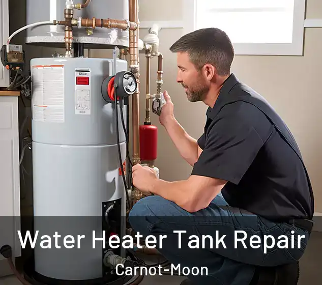  Water Heater Tank Repair Carnot-Moon