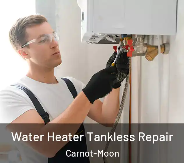  Water Heater Tankless Repair Carnot-Moon