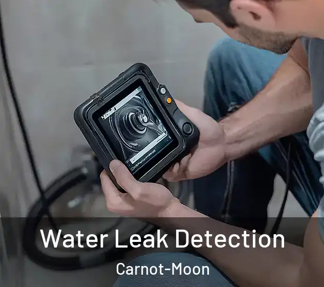  Water Leak Detection Carnot-Moon