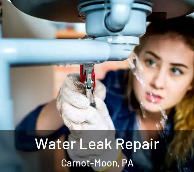  Water Leak Repair Carnot-Moon, PA