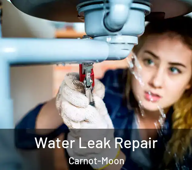  Water Leak Repair Carnot-Moon