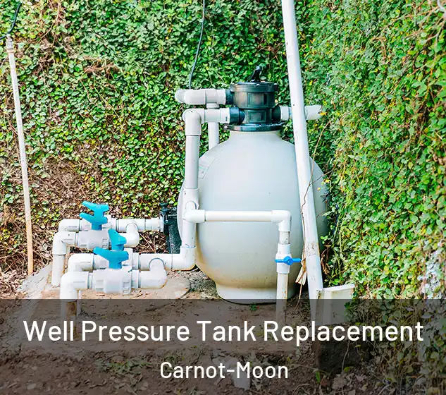  Well Pressure Tank Replacement Carnot-Moon