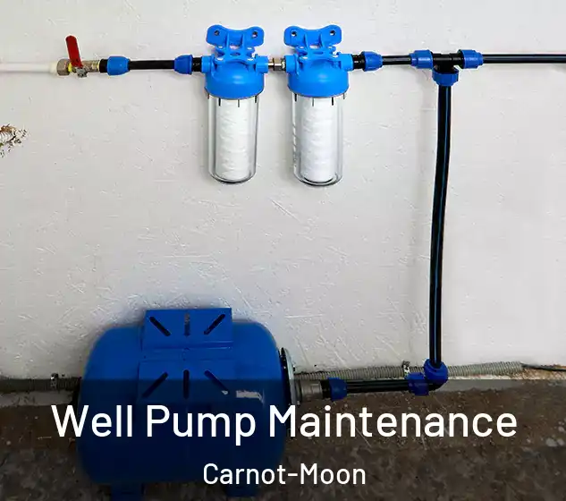  Well Pump Maintenance Carnot-Moon